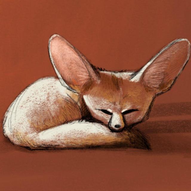 Caitlin Smith avatar