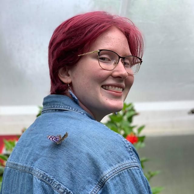 H. Mallek avatar
