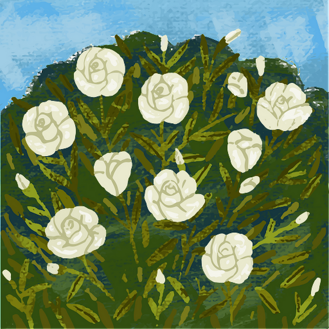 Zoe Pritikin avatar