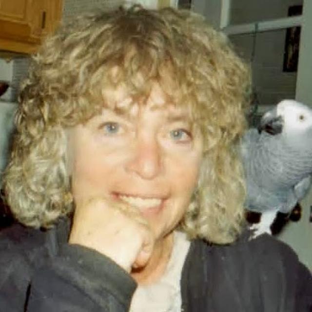 Susan Israel avatar