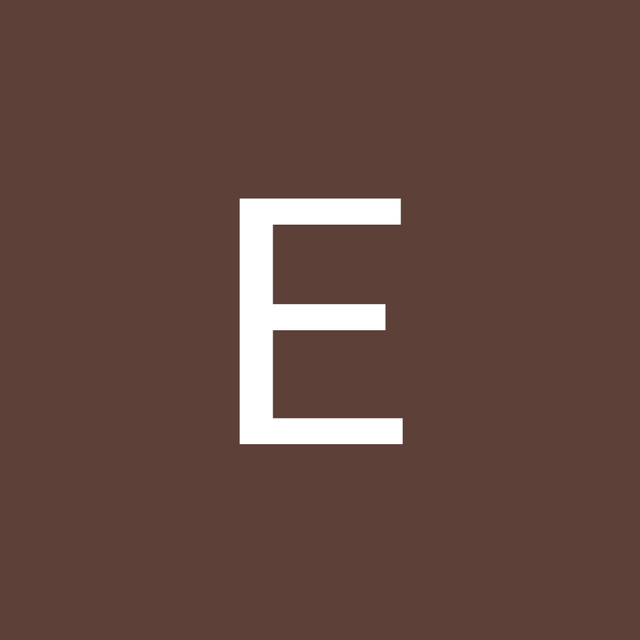 Elisabeth Sunseri avatar
