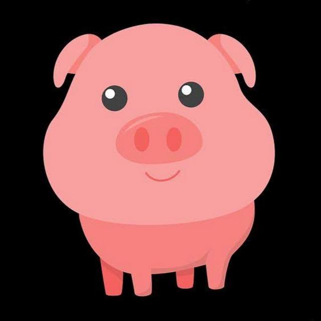 Bonnie Shao avatar
