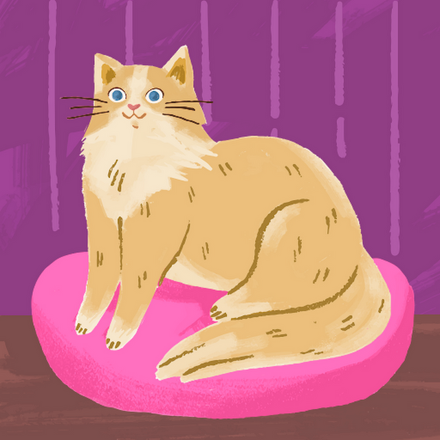 Ella Miller avatar