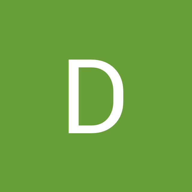Dina Leacock avatar