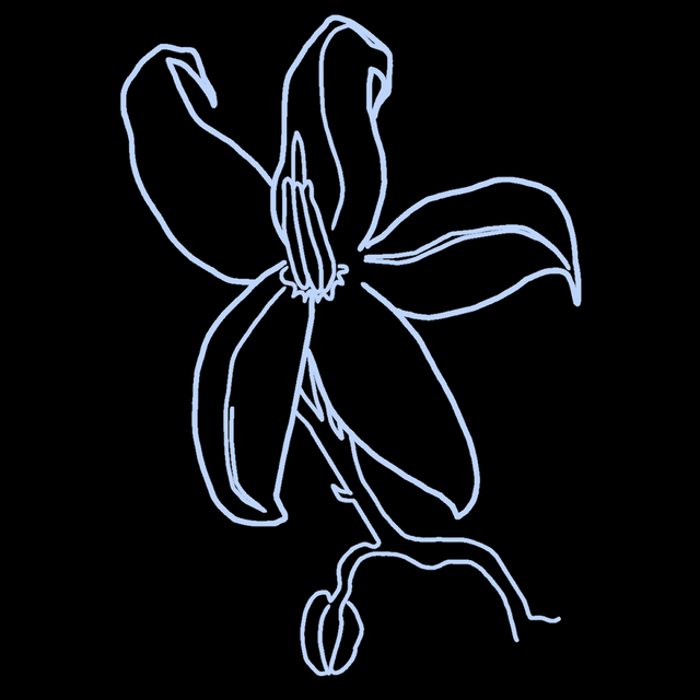 nightshade lit mag avatar