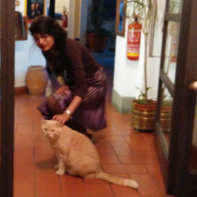 Sohini Basak avatar