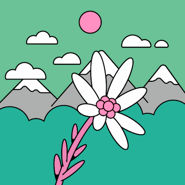tanzil ᙠ avatar