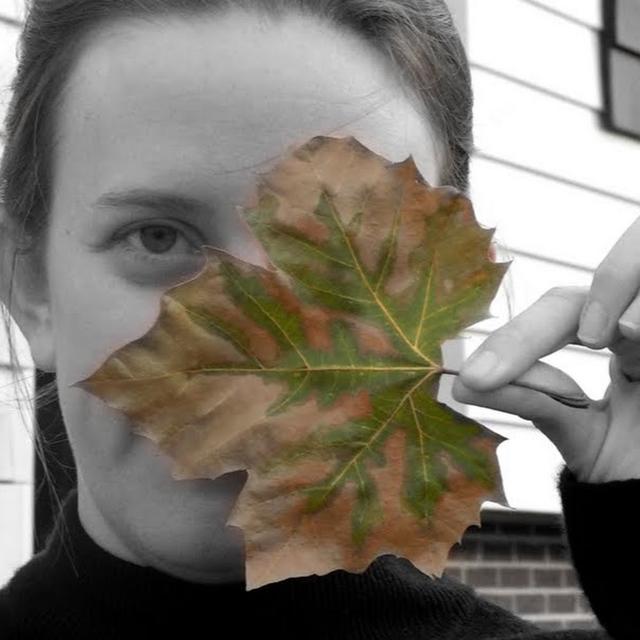 Jen George avatar