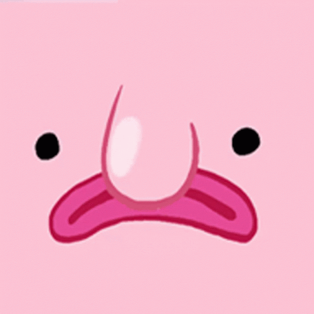 Sherry Z avatar