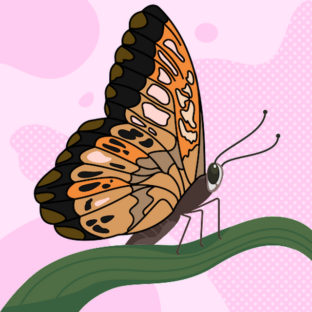 Courtney Allen avatar