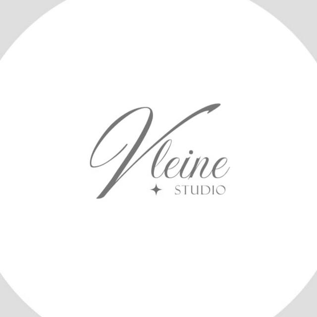 vleine studio avatar