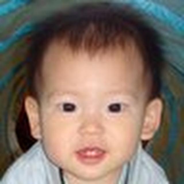Silas Lee avatar