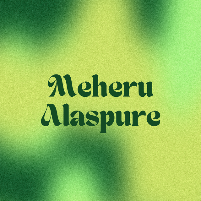 Meheru Alaspure avatar