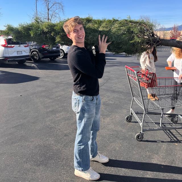 Dylan Bourne avatar
