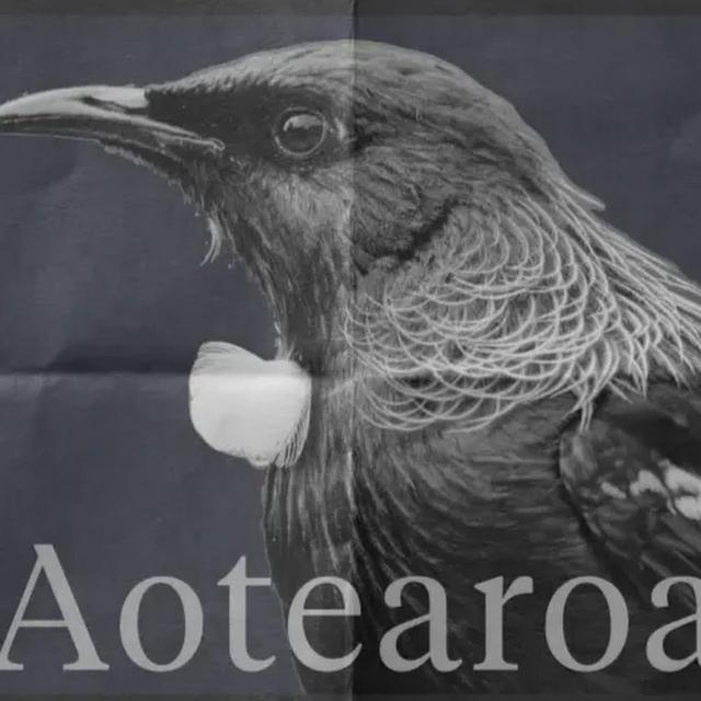 Andrew Stephenson avatar