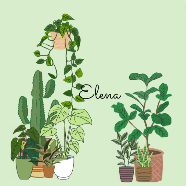 Elena Vianne Swanson avatar