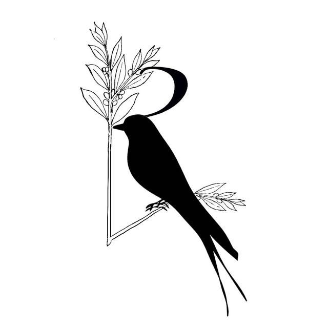 Ruyan Meng avatar