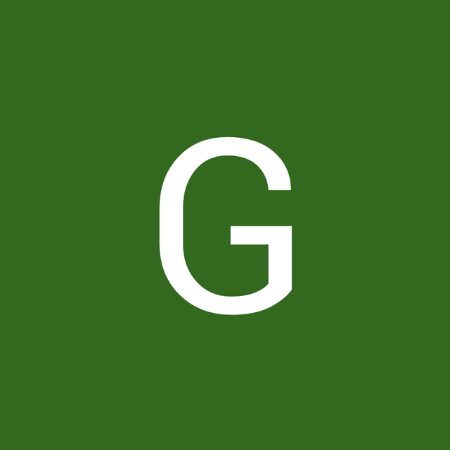 Galvin Voltag avatar