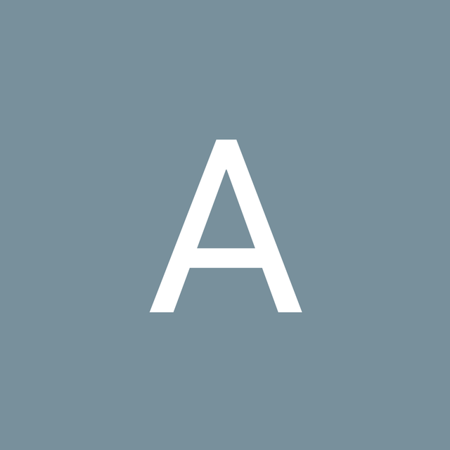Anastasia Flerchinger avatar