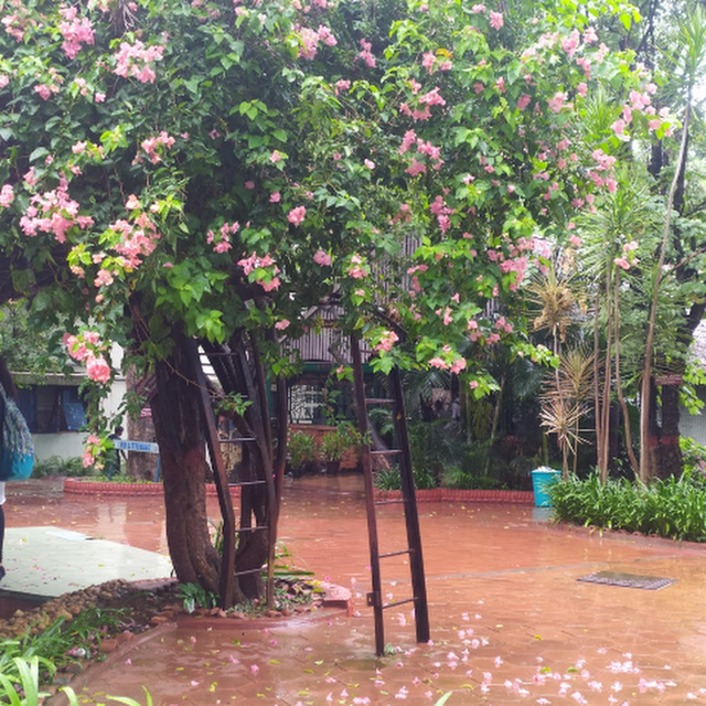 Sunkara Dhaavani avatar