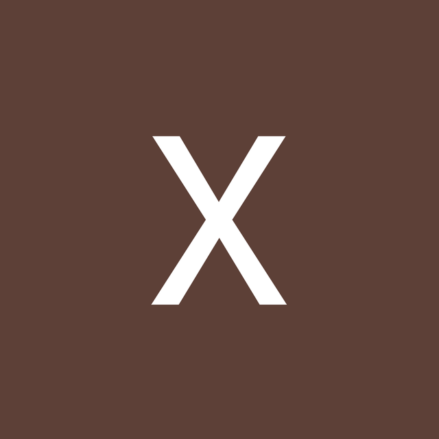 Xin Fu avatar