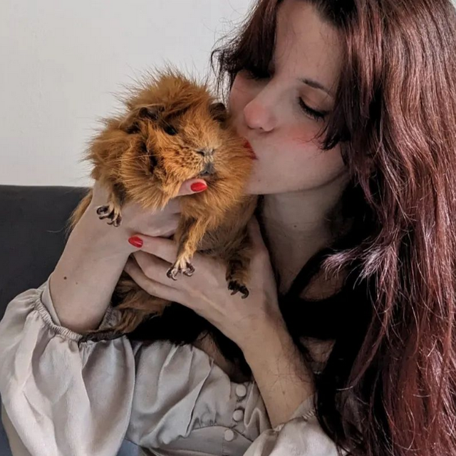 Virginia Cafaro avatar