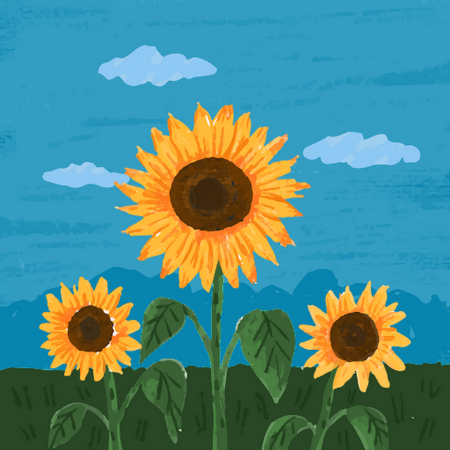 Norah Linehan avatar
