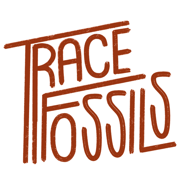 Trace Fossils Review avatar