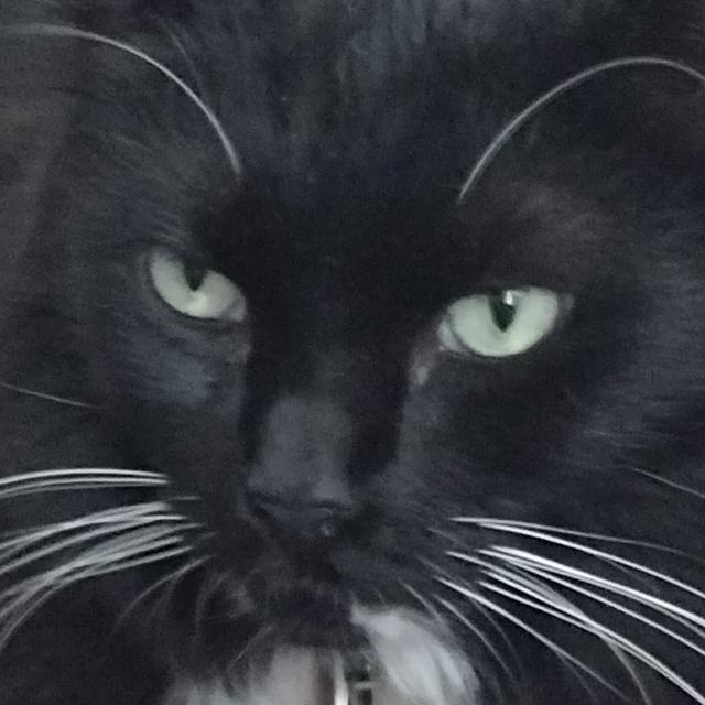 Scath Beorh avatar