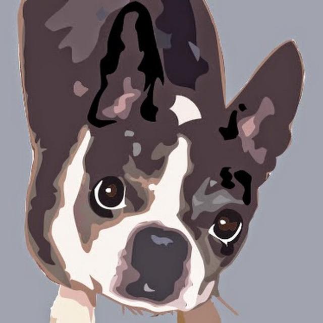 Donald Bohach avatar