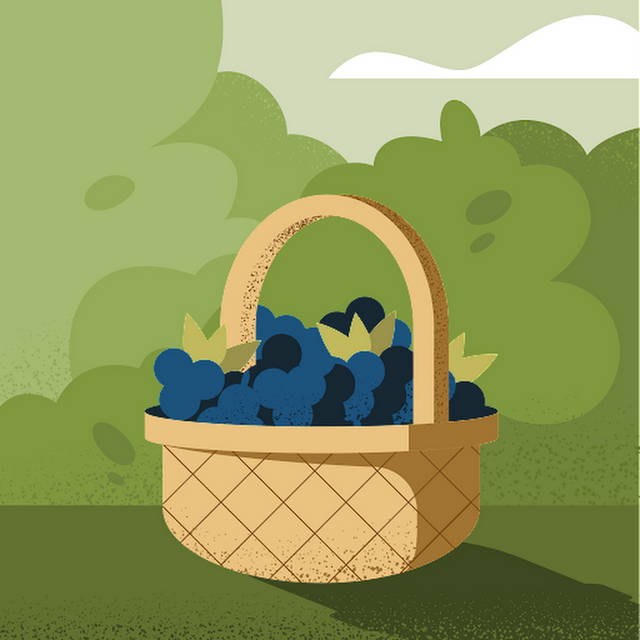 Pomm avatar