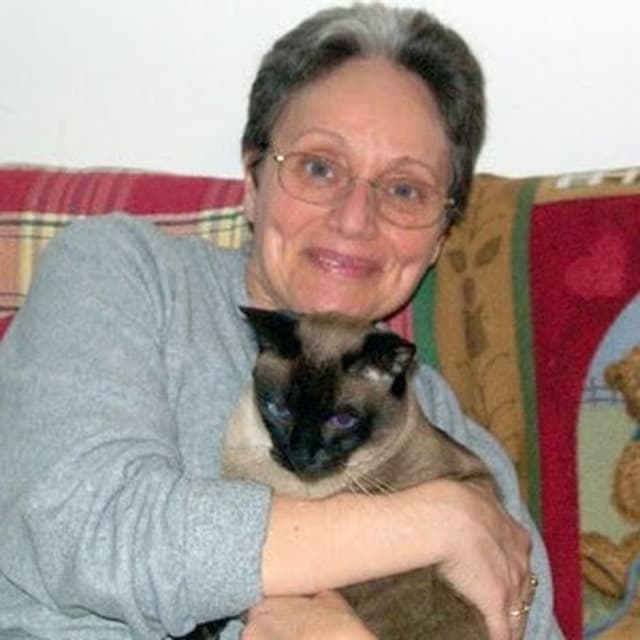 Nolcha Fox avatar
