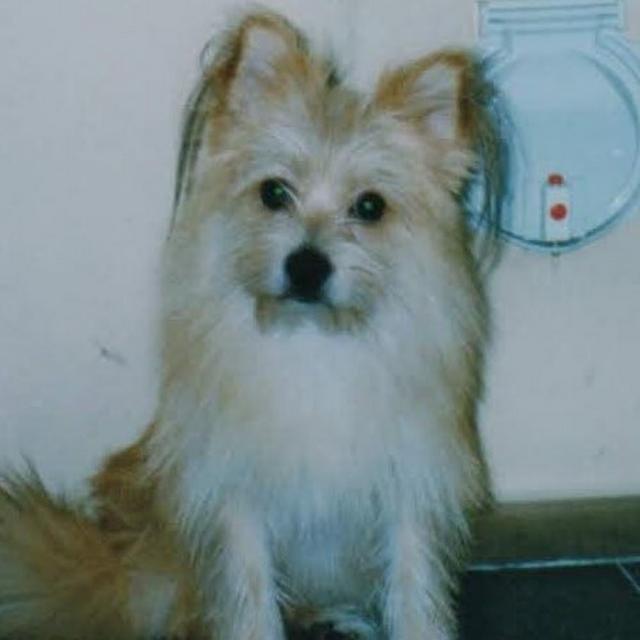 Ryan Lee avatar