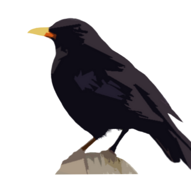 ablackbirdblogs avatar