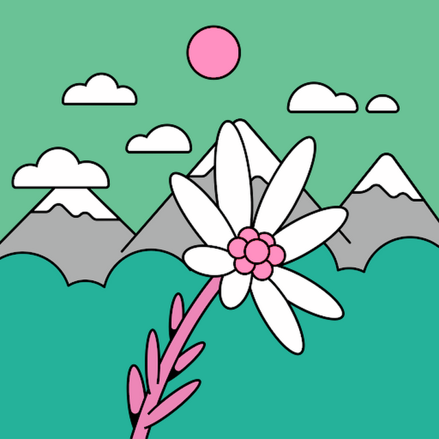 Rachel K. avatar