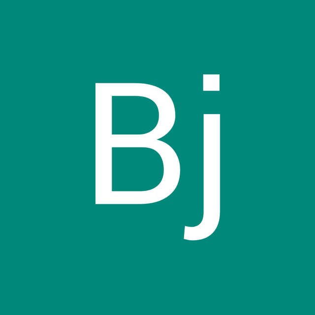 Bj Thoray avatar