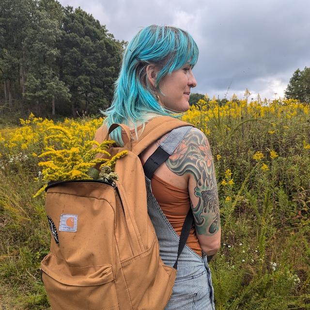 Meredith Fields avatar