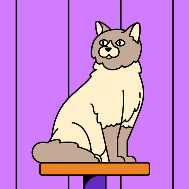 Tess Miller avatar