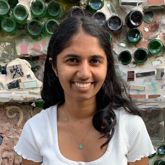 Sarayu Namineni avatar