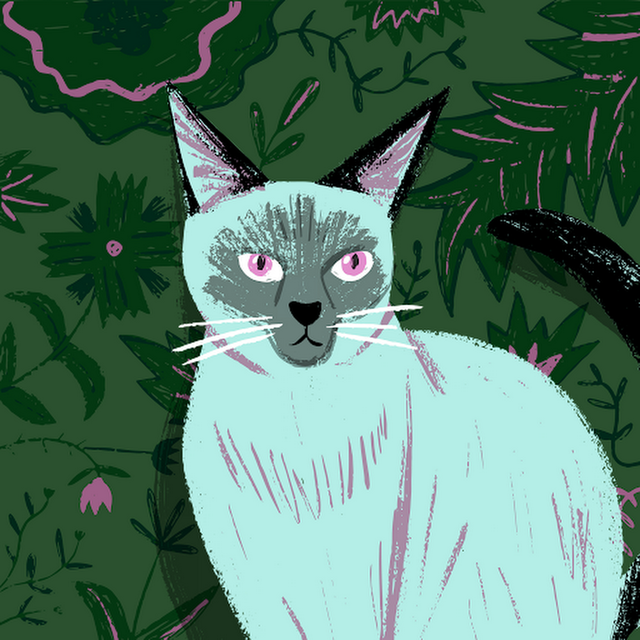 Heather Andersen Ower avatar