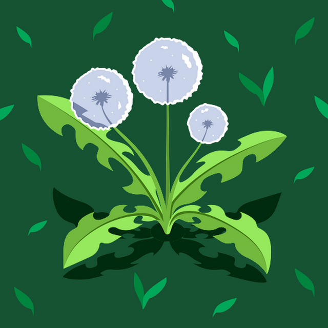 sarabeth parsons avatar