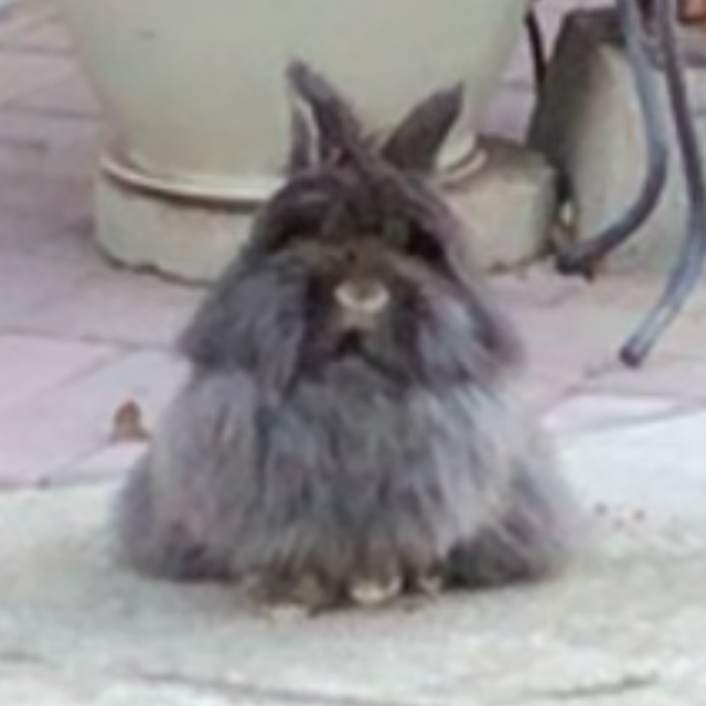 A. Ni avatar