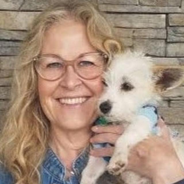 Lisa Hohlt avatar