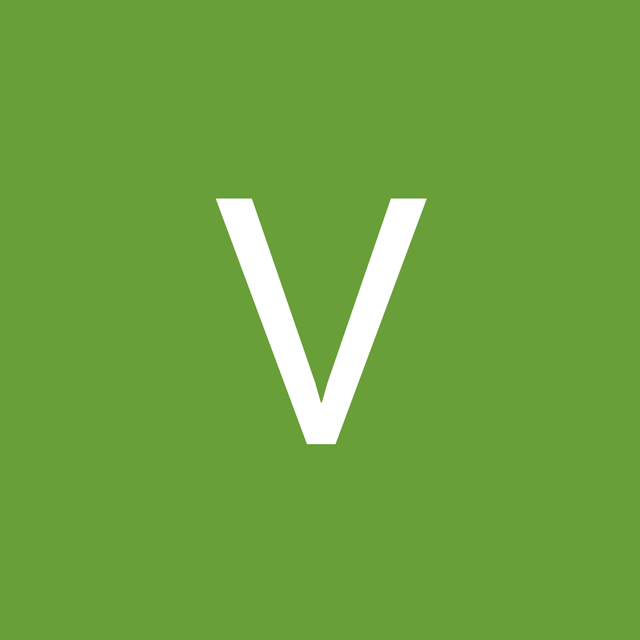 Victoria Pudova avatar