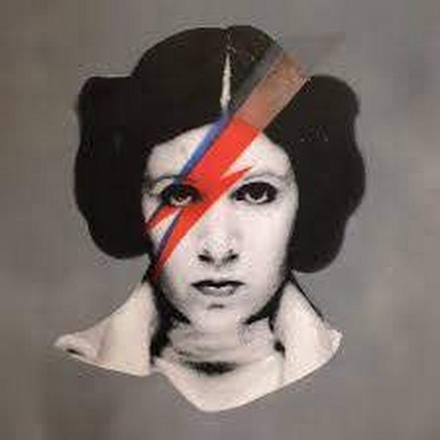Jane Windsheimer avatar