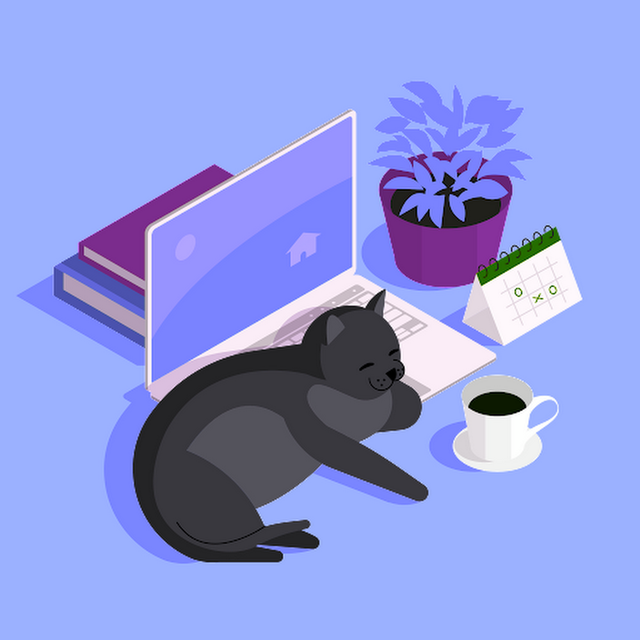 Jiayin Wang avatar