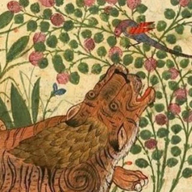 sabr tooth tiger magazine avatar