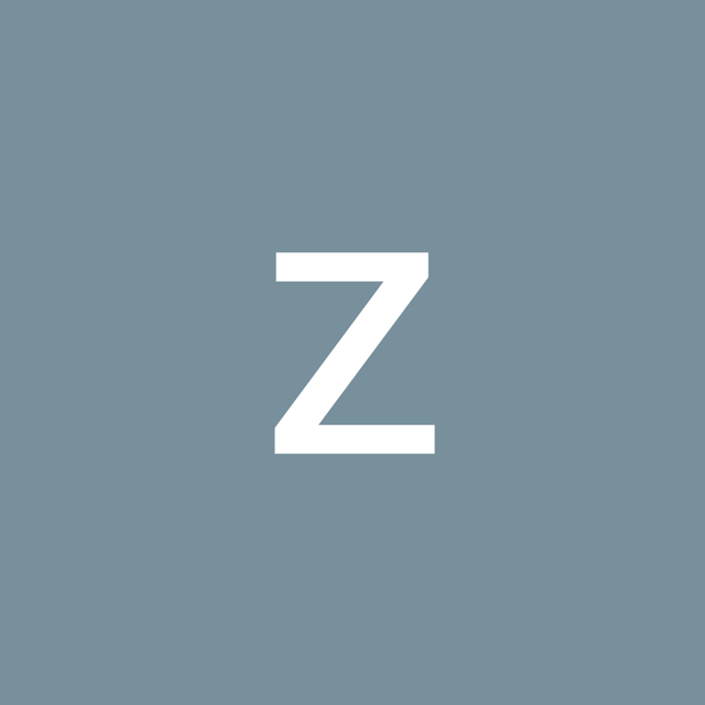 Z. Kestrel avatar