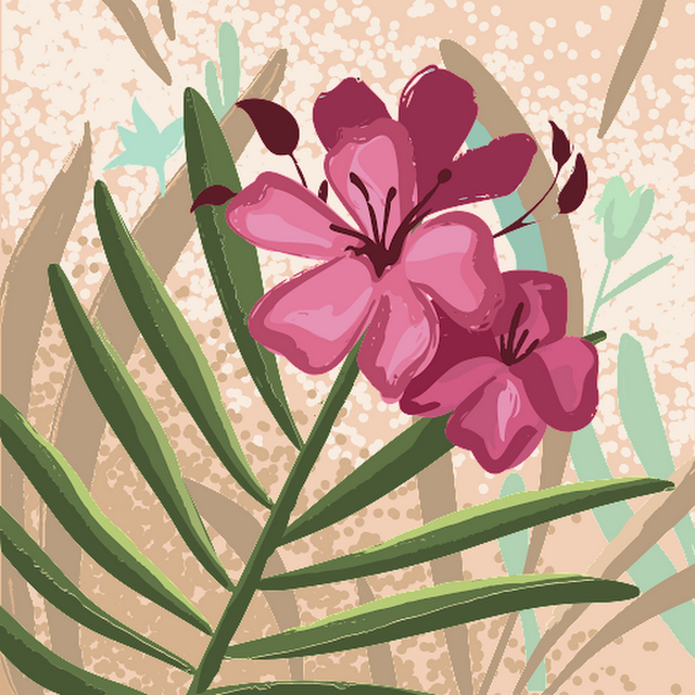 Stephanie Flood avatar
