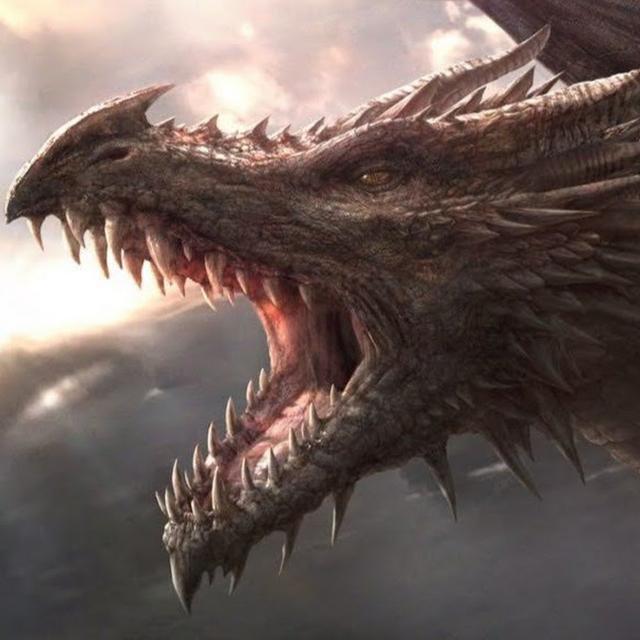 Nikita Jurcenko avatar